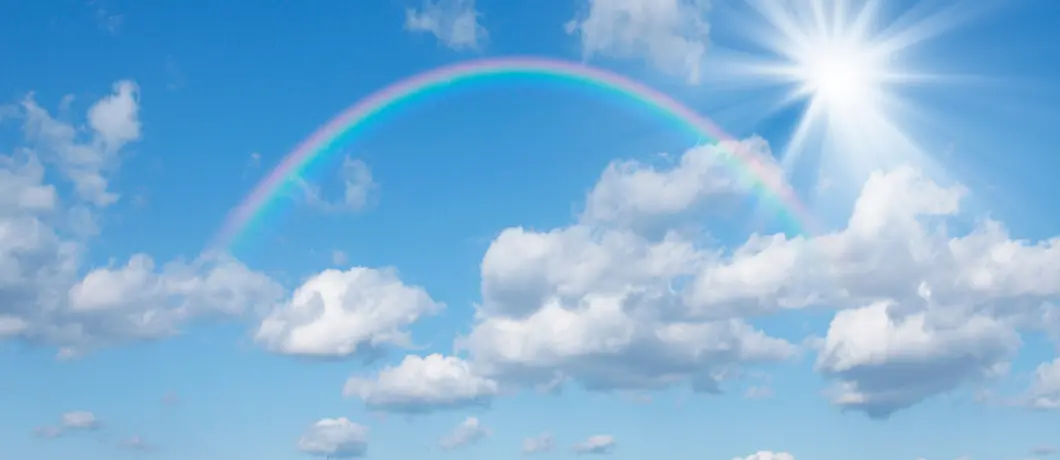 幅広い事業を展開